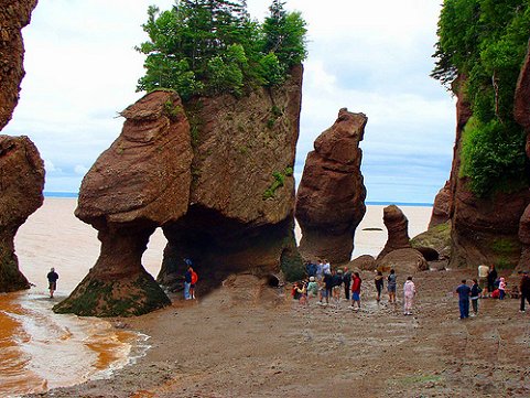 Les rochers Hopewell Rocks