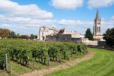 Les viticoles de Saint-Emilion