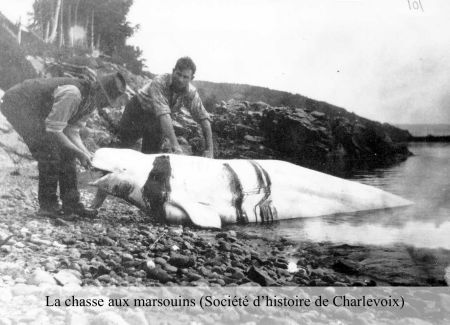 Peche_aux_marsouins_450x325