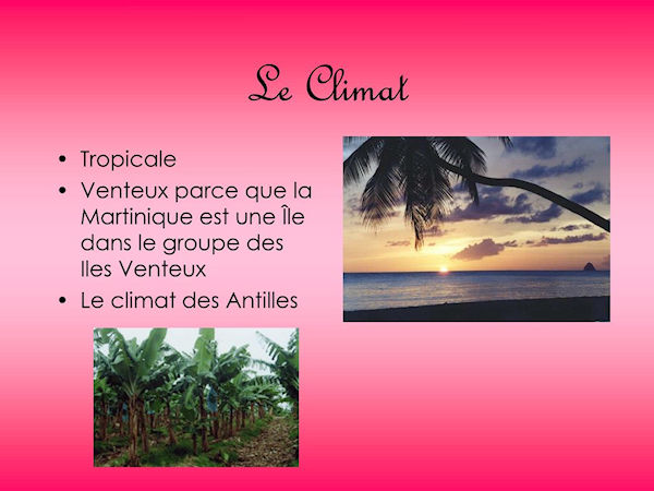 Climat des Antilles
