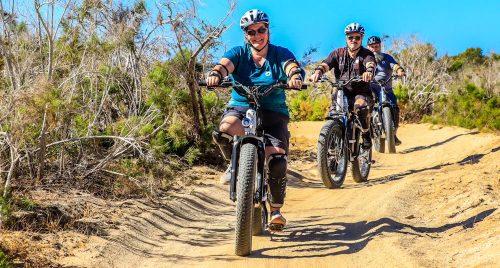 20210617-IMG_0108_1000x537