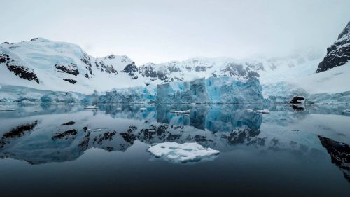 20230326-Paradise Bay 1200x675